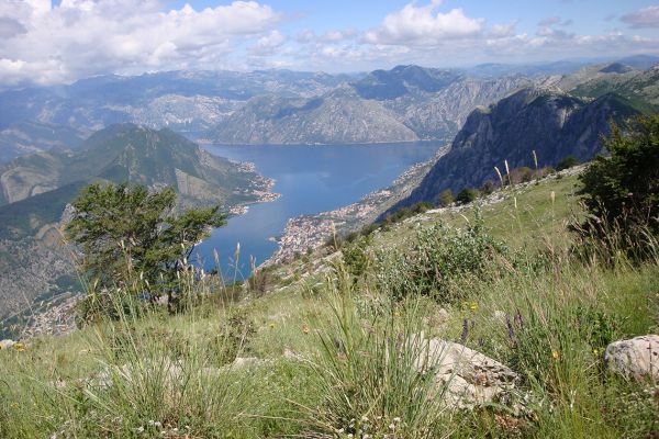 Bay of Kotor, view from our walk, Montenegro