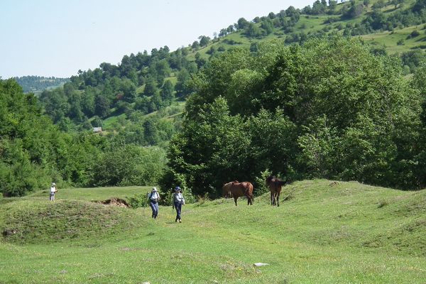 Walking in rural Romania
