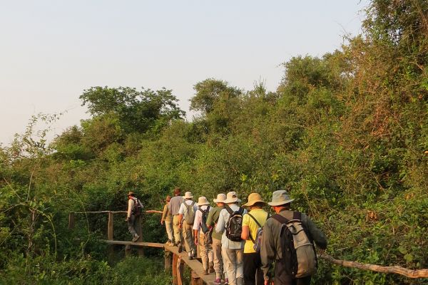 Early morning walk in the Pantanal, Brazil