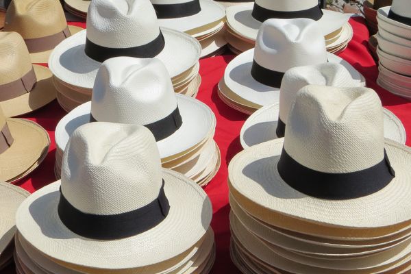 Panama hats