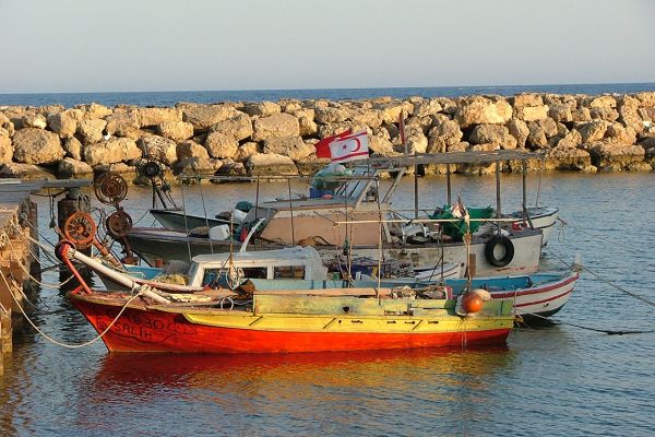 Fishing boats, North Cyprus
