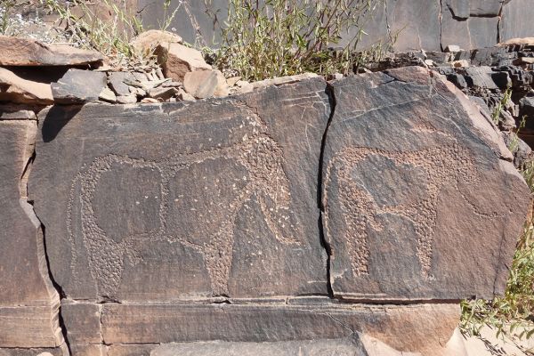 Prehistoric rock carvings near Tafraout
