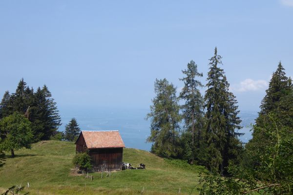 Views from the Pfander hill above Bregenz