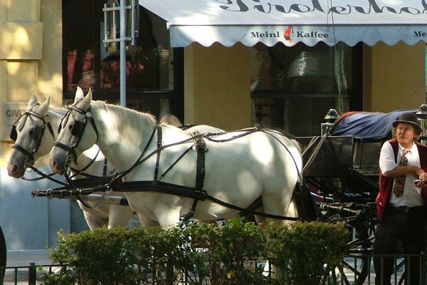 Horse carriage on the Ring, Vienna