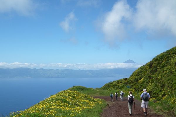 Walking on Pico island, Azores