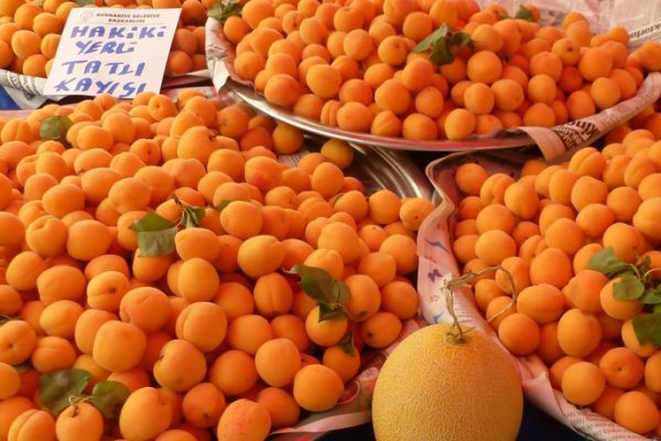 Fresh apricots in Assos market, Turkey