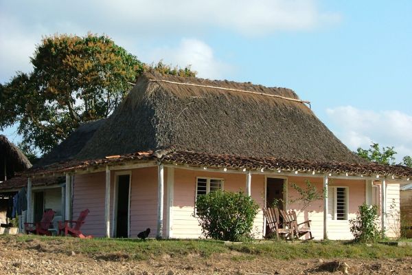 Traditional thatched cottage in the tobacco fields, Cuba