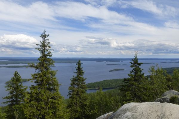 View from Ukko-Koli over Lake Pielinen