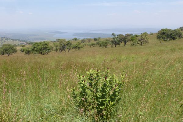 Akagera National Park, scenery seen from the Mutumba Hills