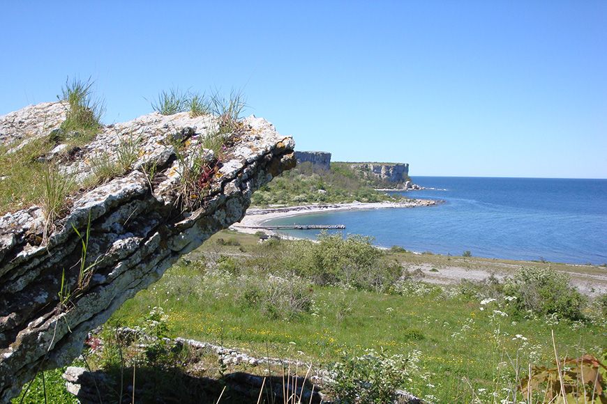 Gotland coast