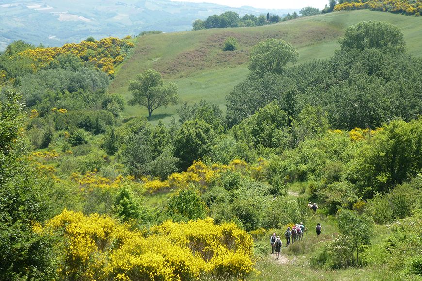 Abruzzo