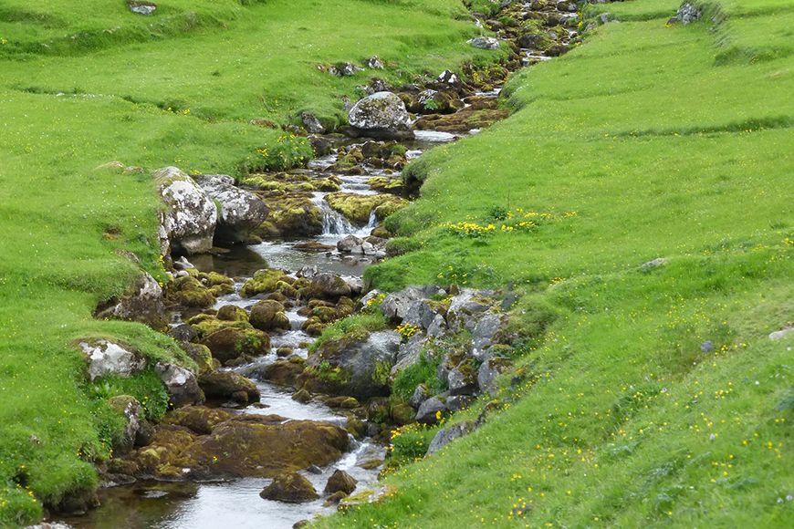 Faroes stream