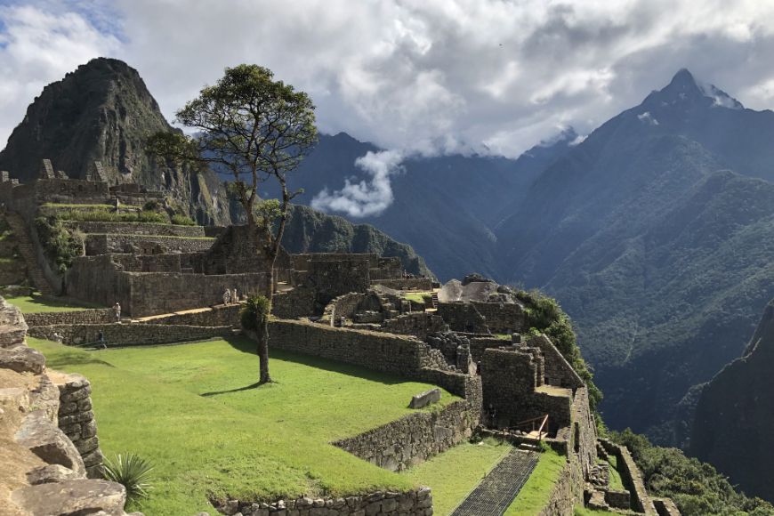 Peru Machu Picchu with tree