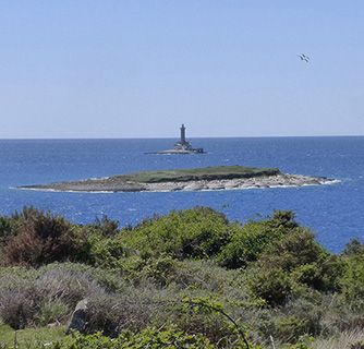 Istria Cape Kamenjak