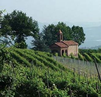 Orta vineyard