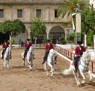 Andalusia 4 horses