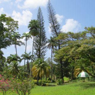 Bequia garden