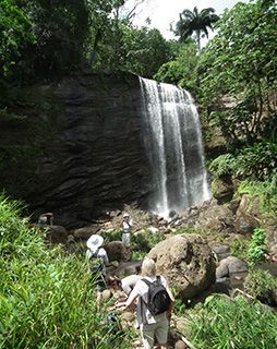 Grenada - waterfall