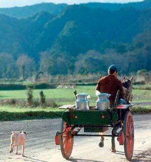 Azores milk cart