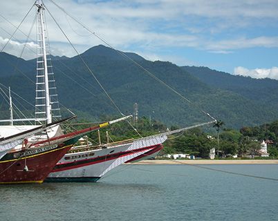 Brazil schooners