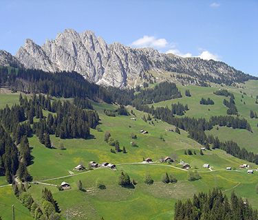 Gstaad Alps