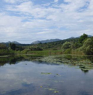 BiH Hutovo Blato