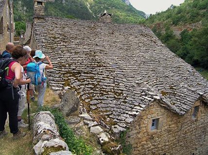 Cevennes walkers