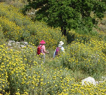 Corfu walkers