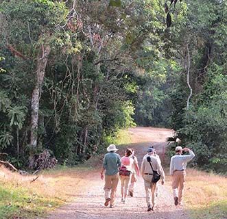 Panama walkers