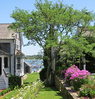 Cape Cod lane