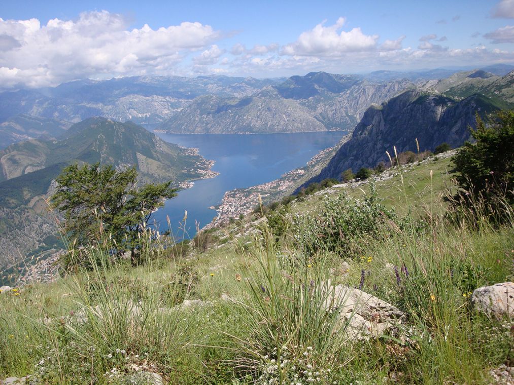 montenegro walking tour