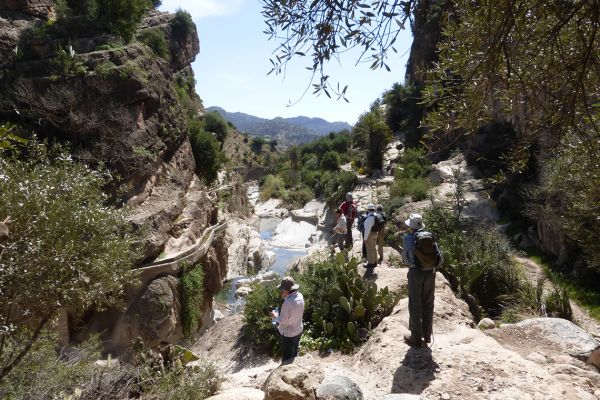 We walk through a small river gorge with oleander-fringed pools 