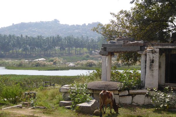 Tungabhadra river near Hampi