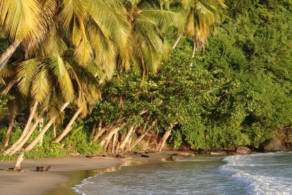 A sandy beach on Grenada