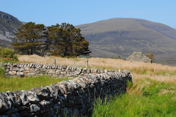 We walk daily in inspiring coastal scenery