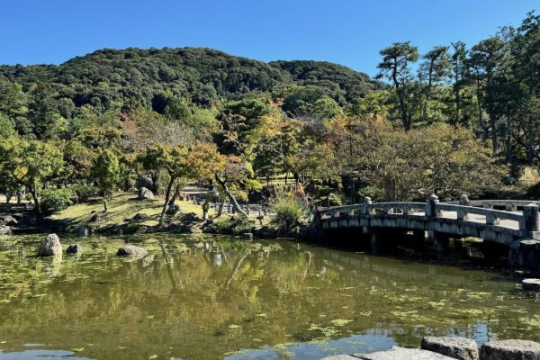 Maruyama Park in Kyoto