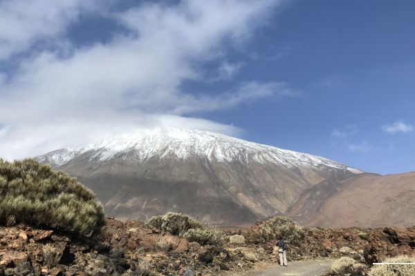 Walking in the Mt. Teide National Park