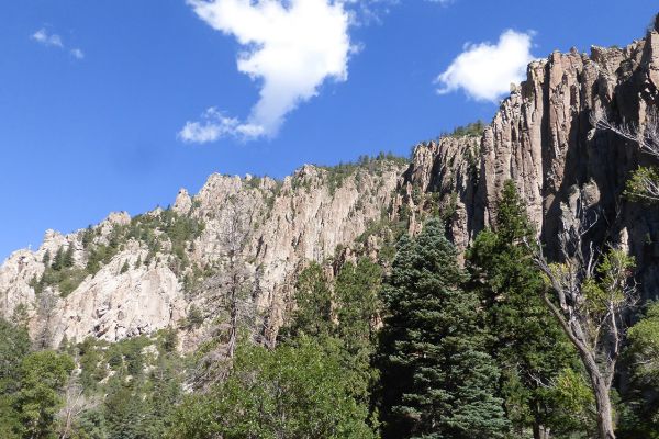 Granite palisades in Cimarron Canyon State Park