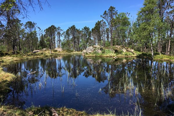 Walking in Western Norway