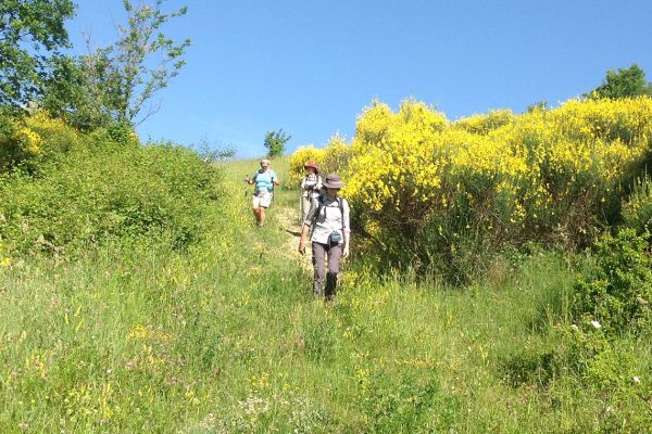 Walkers on the tratturo, Italy