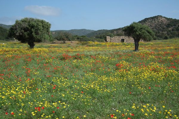 Karpaz peninsula scenery