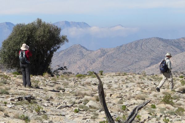 Walking in the Jebel Akhdar mountains, Oman