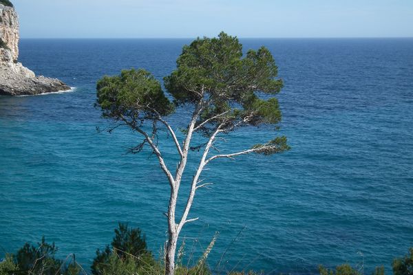 Scenery on the coastal path