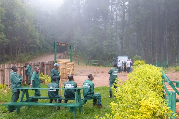 Nyungwe Forest National Park, start of the chimpanzee trek