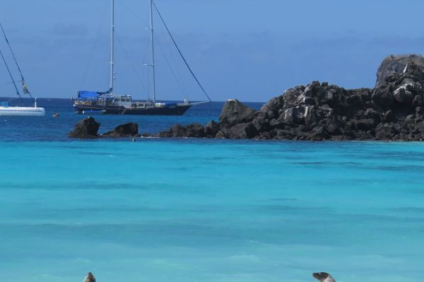 Sea lions on the beach, Galapagos Islands