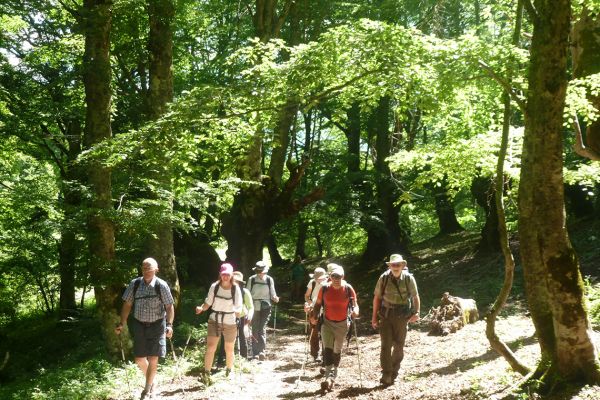 Walkers on the tratturo, Italy