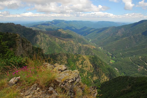 Mont Aigoual in the Cevennes