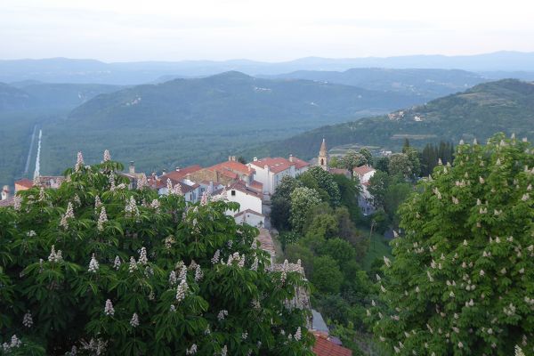 View of the Mirna valley from Motovun's city walls