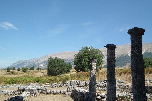 Antigonea, Albania