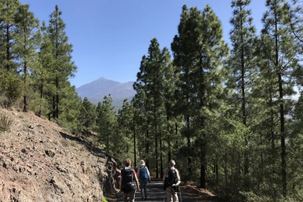 Walking in Tenerife